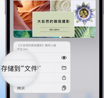 西塞山apple维修中心分享iPhone文件应用中存储和找到下载文件