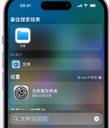 西塞山apple维修中心分享iPhone文件应用中存储和找到下载文件 