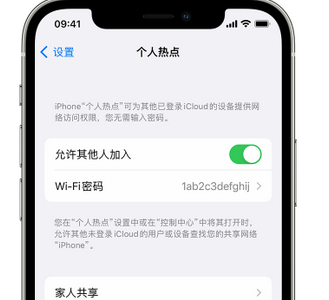 西塞山apple服务站点分享iPhone上个人热点丢失了怎么办 