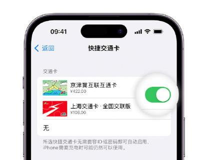 西塞山apple维修点分享iPhone上更换Apple Pay快捷交通卡手绘卡面 