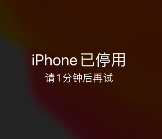 西塞山苹果手机维修分享:iPhone 显示“不可用”或“已停用”怎么办？还能保留数据吗？ 