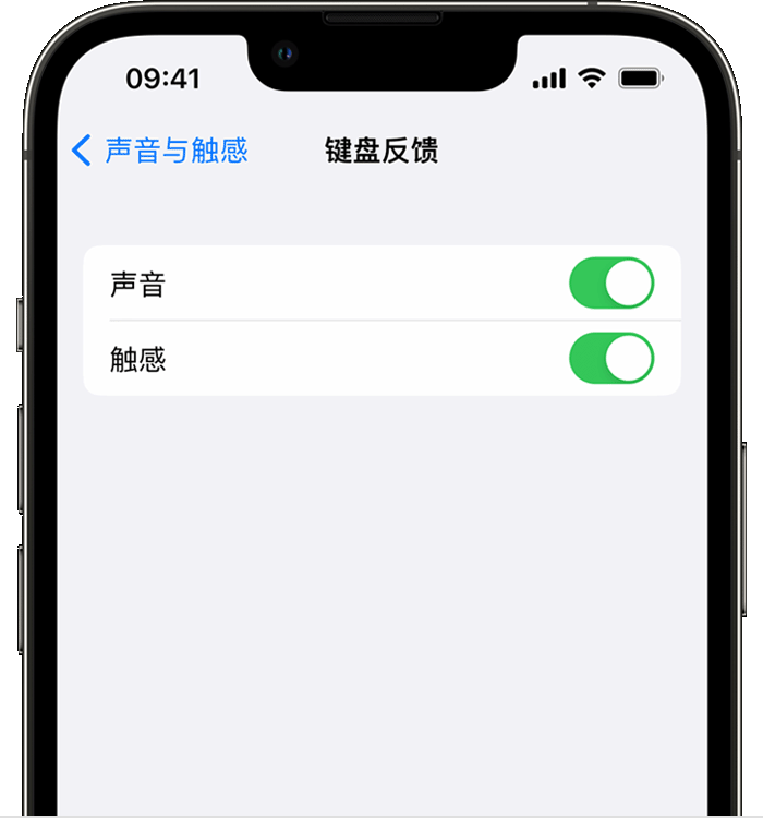 西塞山苹果14维修店分享如何在 iPhone 14 机型中使用触感键盘 