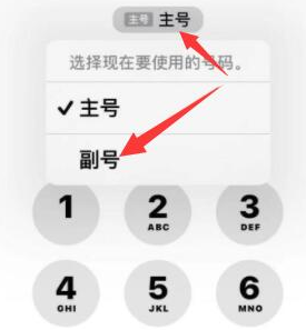 西塞山苹果14维修店分享iPhone 14 Pro Max使用副卡打电话的方法 