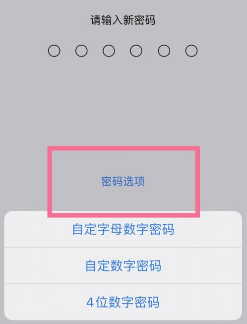 西塞山苹果14维修分享iPhone 14plus设置密码的方法 