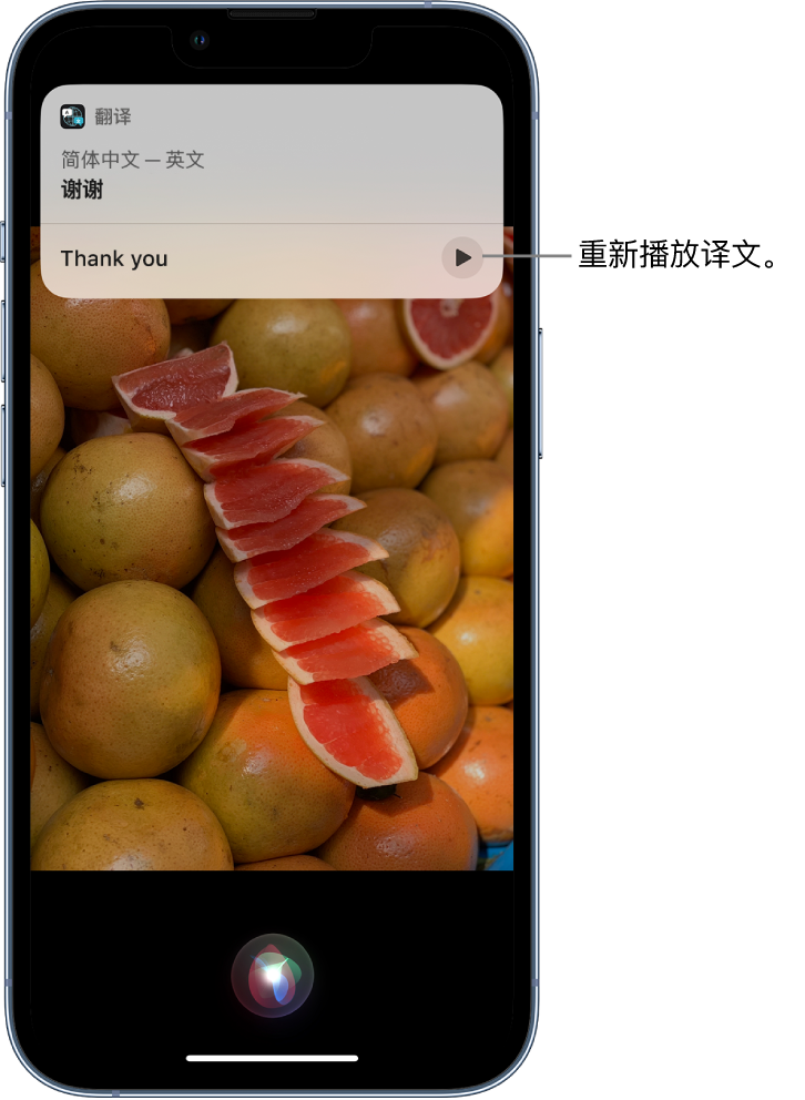 西塞山苹果14维修分享 iPhone 14 机型中使用 Siri：了解 Siri 能帮你做什么 