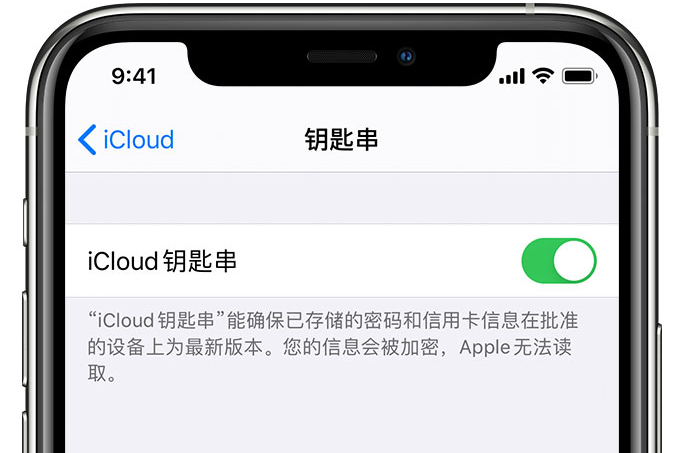 西塞山苹果手机维修分享在 iPhone 上开启 iCloud 钥匙串之后会储存哪些信息 