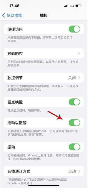 西塞山苹果手机维修分享iPhone手机如何设置摇一摇删除文字 